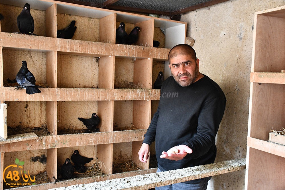 zohdi 3ashoor (44).jpeg